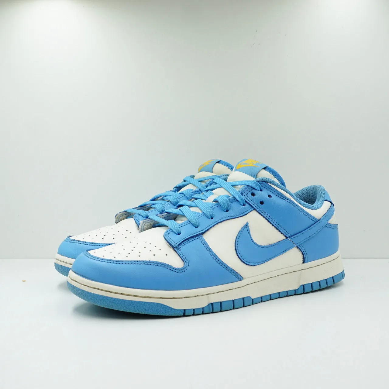 Nike Dunk Low Coast (W)