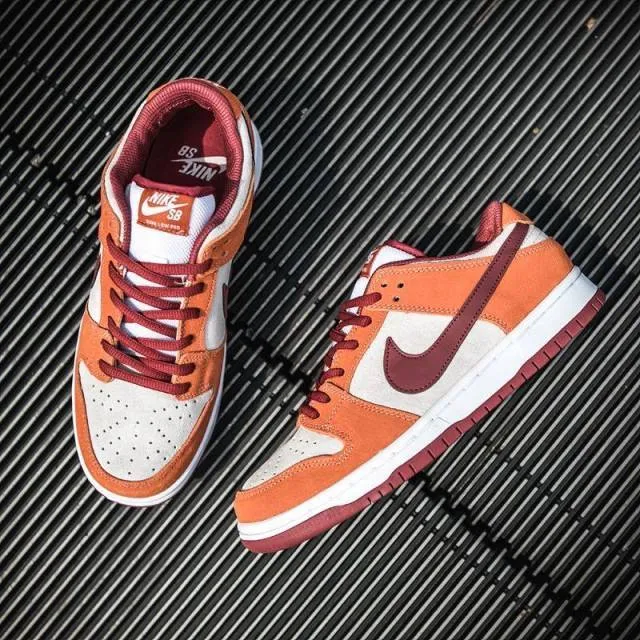 Nike dunk low sb pro