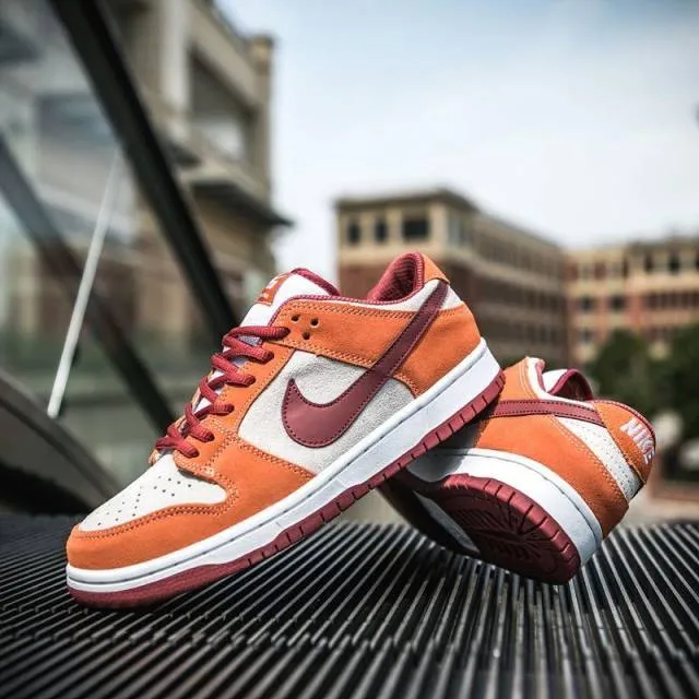 Nike dunk low sb pro