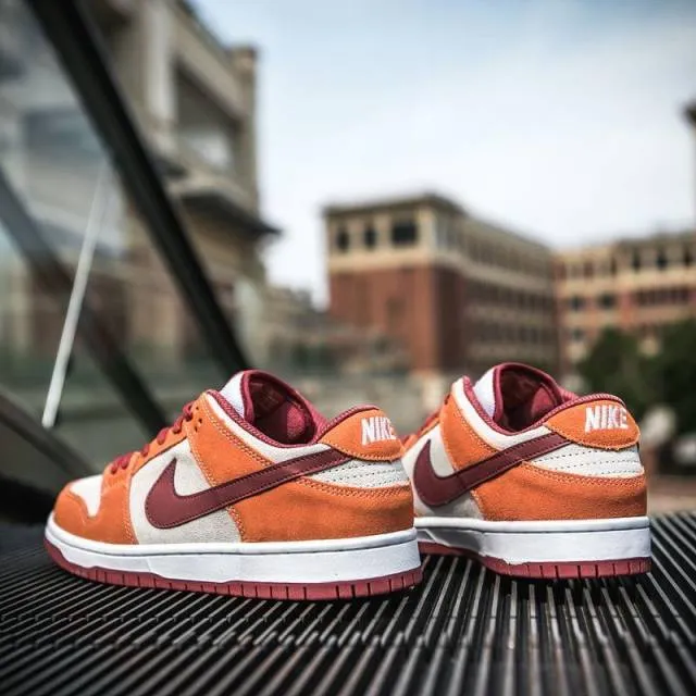 Nike dunk low sb pro